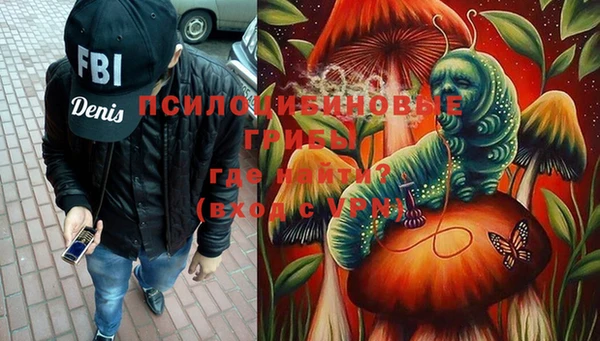 молекула духа Михайловск