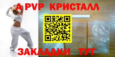 спиды Гатчина