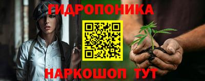 спиды Гатчина