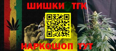 спиды Гатчина