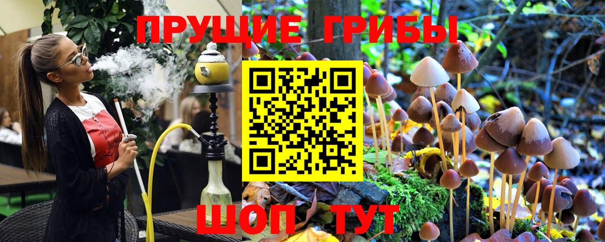 Галлюциногенные грибы GOLDEN TEACHER  Мирный 